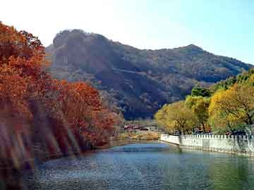 澳门天天免费精准大全，宝山玩笔仙